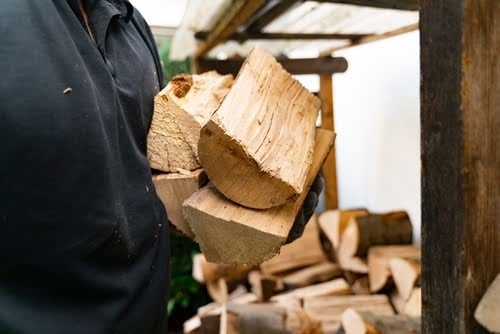 Person Holding Firewood