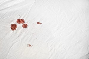 bed bugs red blood stains