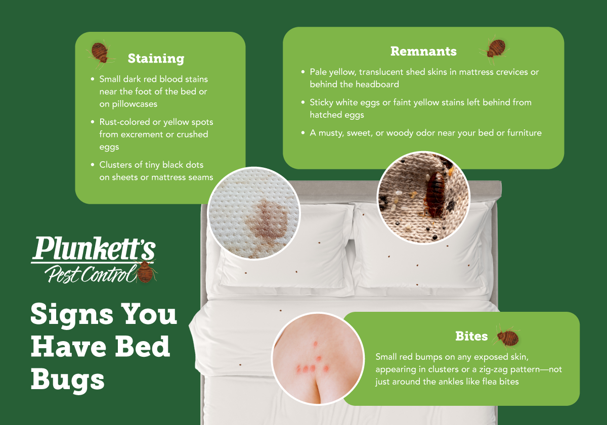 Signsyouhavebedbugsinfographic