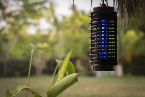 Electronic hanging bug trap