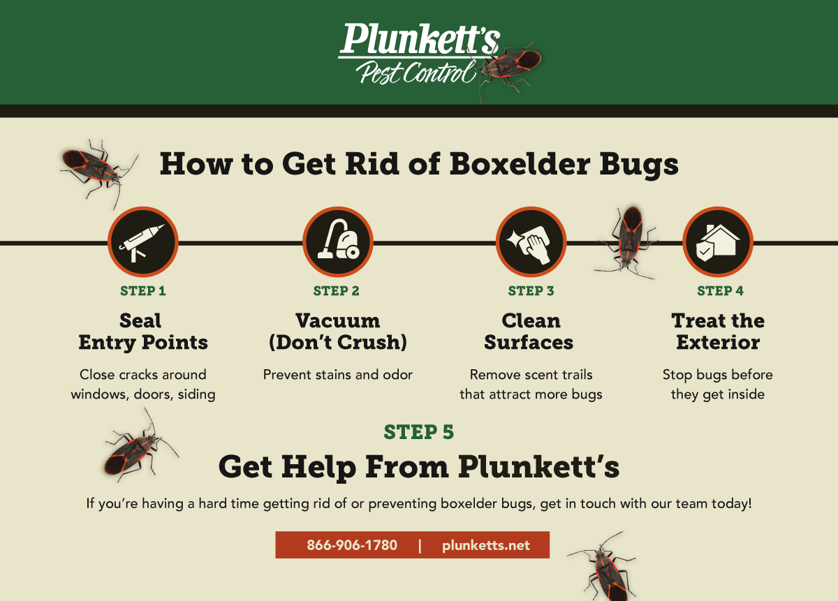 Plunketts Boxelder Info R1 (1)