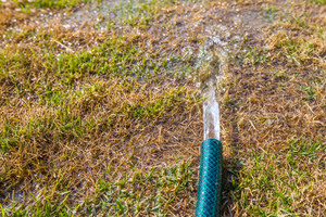 control moisture presence in and around your home to keep pests out