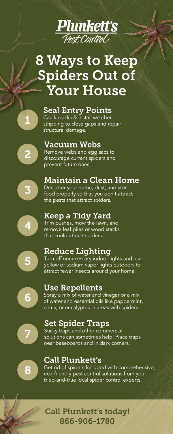 infographic-on-8-ways-to-keep-spiders-out-of-your-house