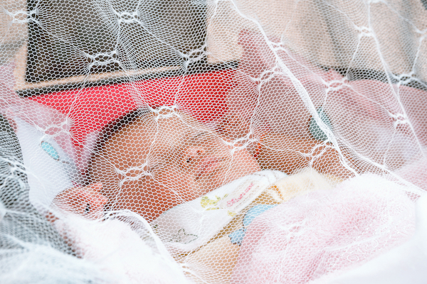 Baby asleep beneath a mosquito net