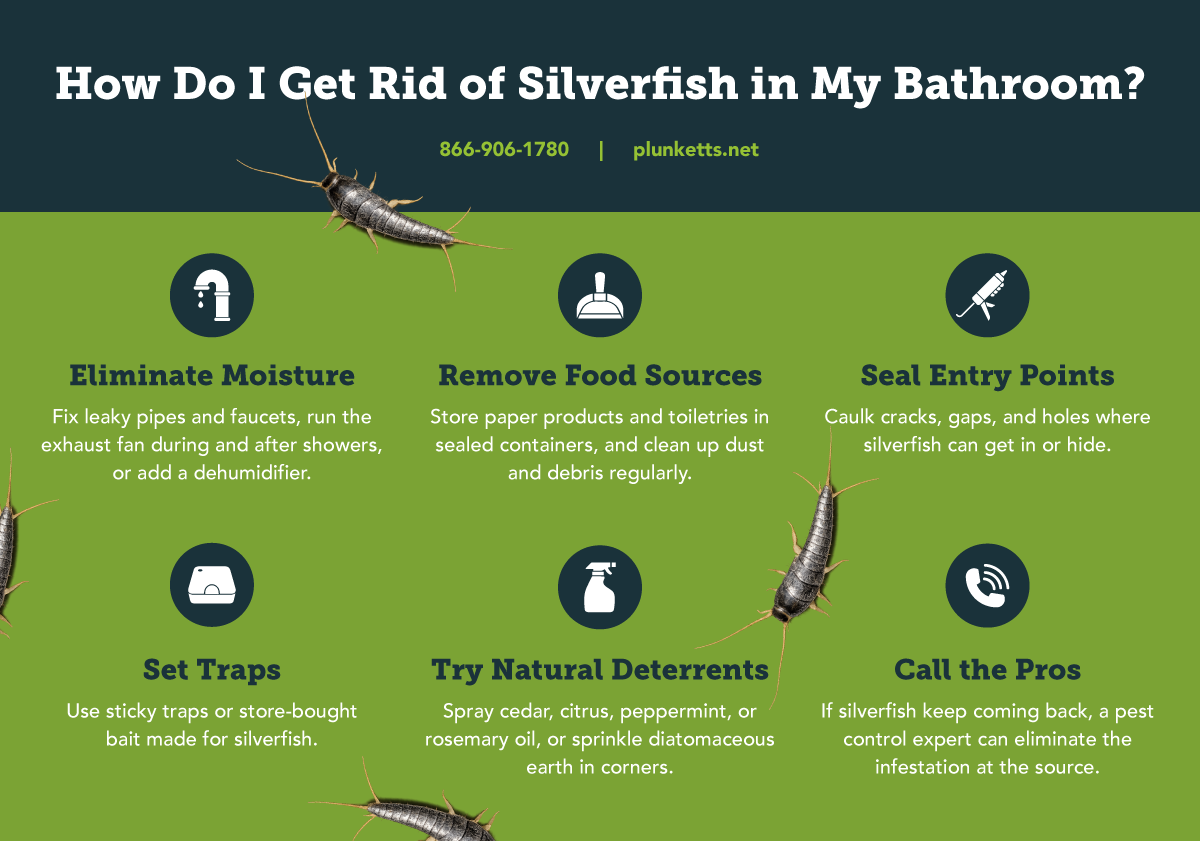 Plunketts Silverfish Info R1 (1)