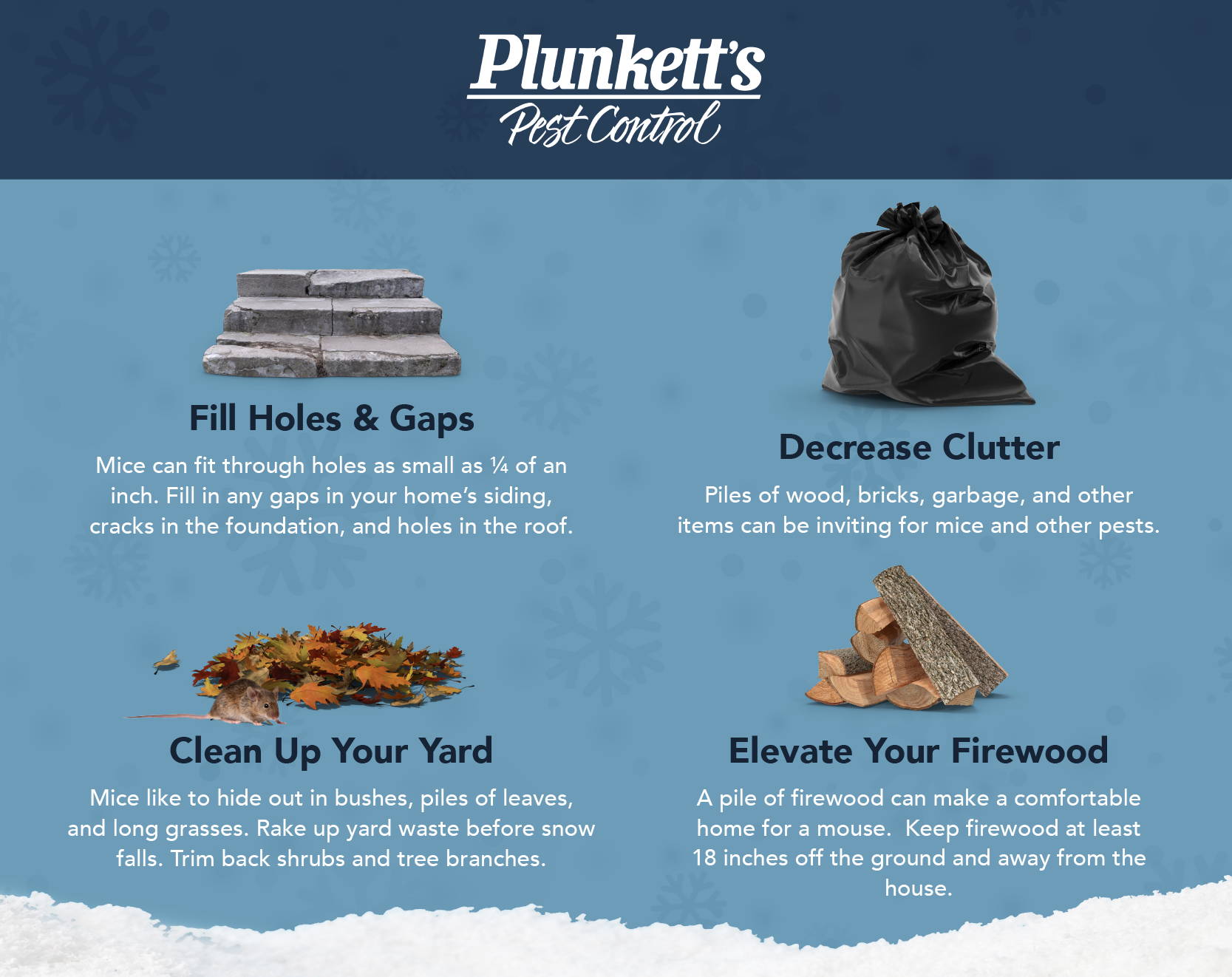 Plunketts Winter Mice Info R2 01