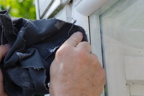 Don’t crush the stink bugs, or they’ll produce their scent