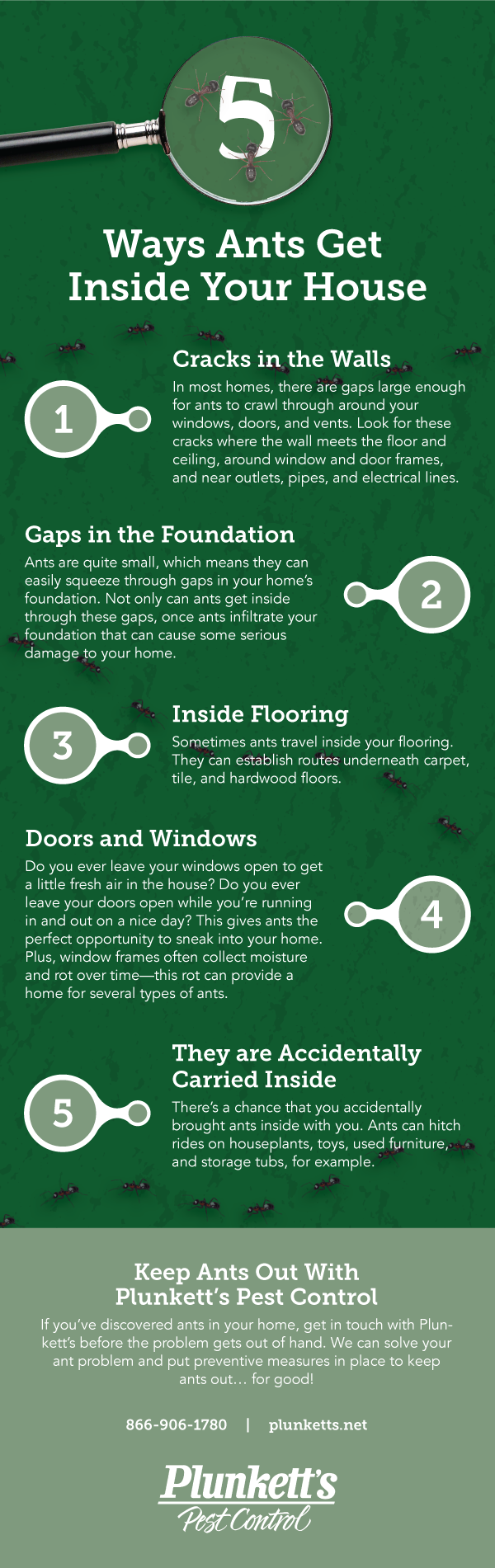 Plunketts 5 Ways Ants Info R2 (2) (2)