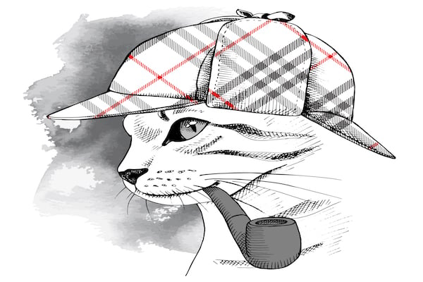 cat dressed as sherlock holmes