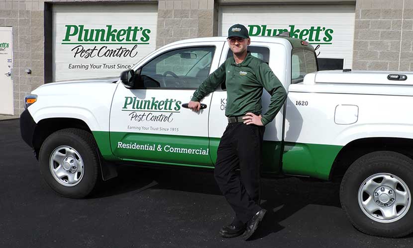 Springtail Prevention and Control - Plunkett's Pest Control