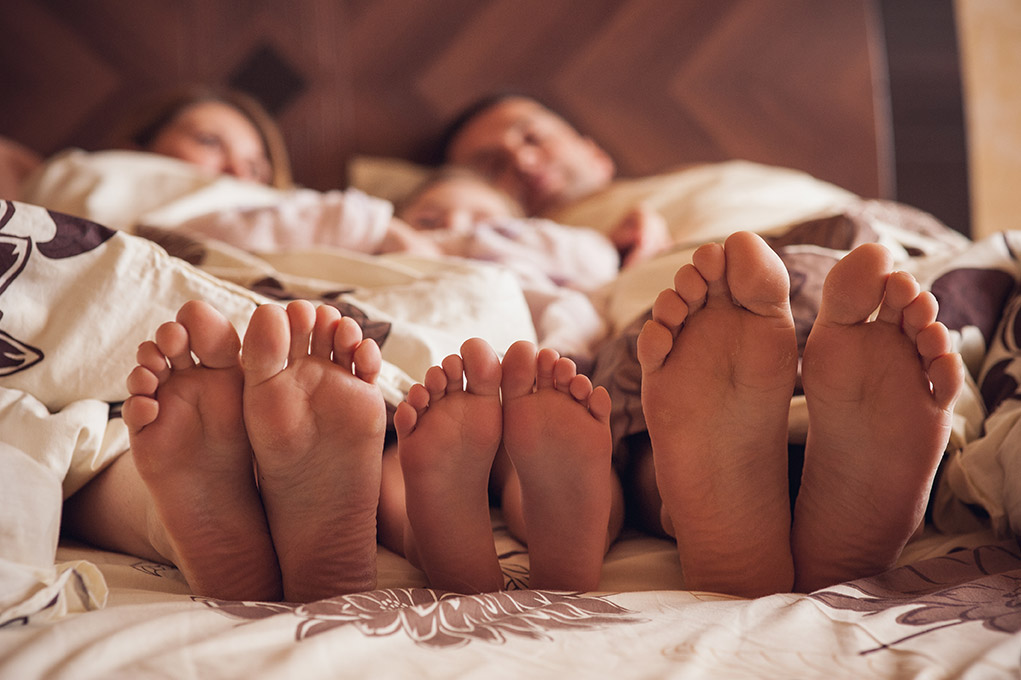 Bed Bug Family Feet