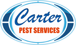 Carter Logo Web