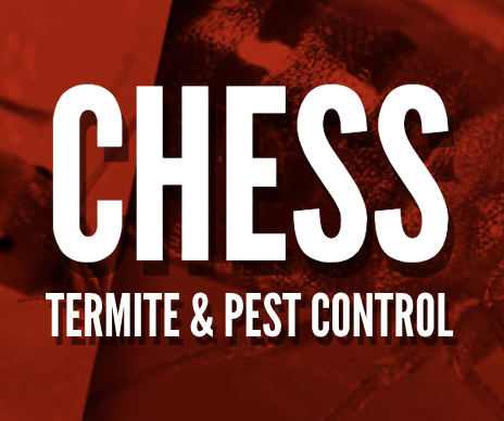 Chess Pest