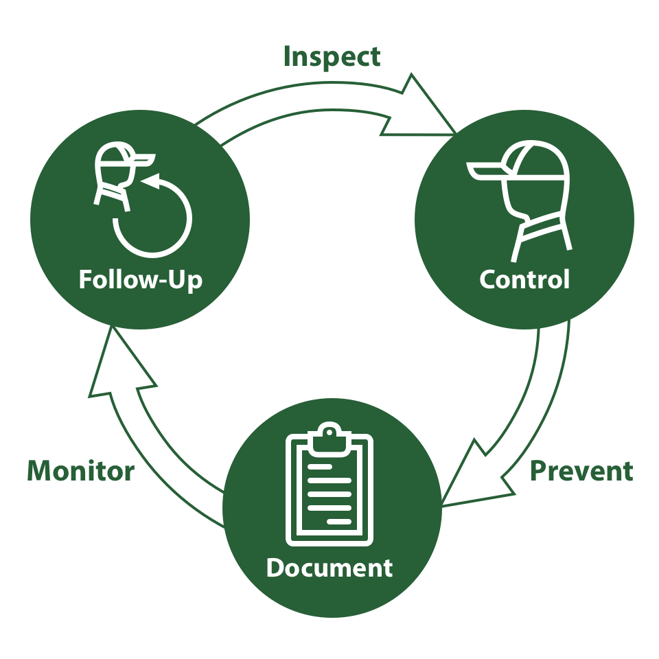 Control Process