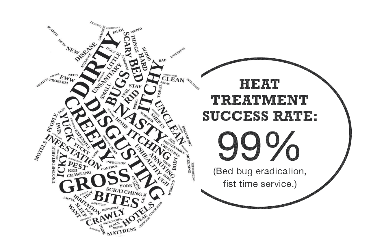 Affordable Bed Bug Treatment Chicago