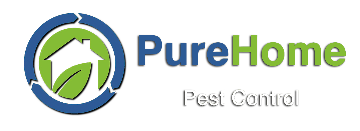 Logo Web