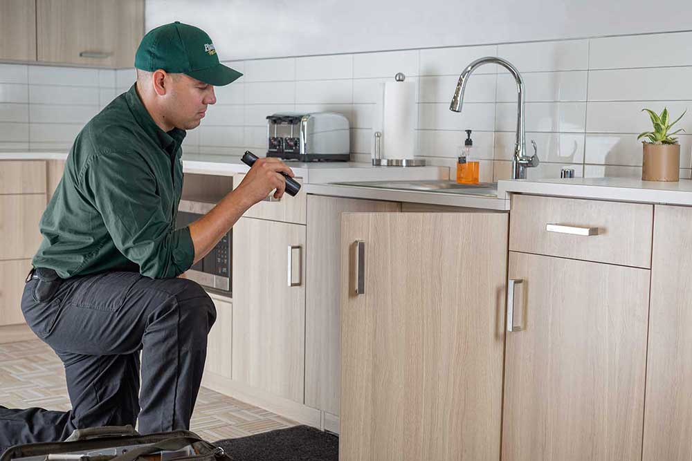 Pest Control Technician Inspecting Sink Cabinet