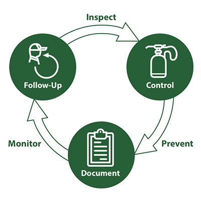 plunkett's pest control process