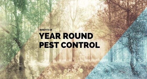 year-round pest control